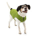 Kurgo Core Dog Sweater, Knit Dog Sweater With Fleece Lining, Cold Weather Pet Jacket, Zipper Opening for Harness, Adjustable Neck, Year-Round Sweater for Small Dogs (Green, X-Small) Extra Small Heather Green