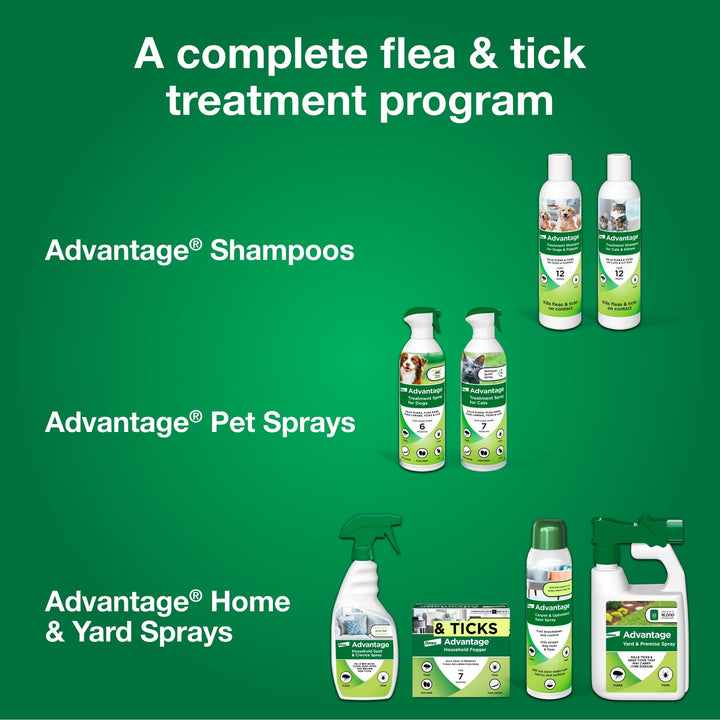 Advantage Carpet & Upholstery Spot Spray | Kills Fleas & Ticks & Bedbugs | 16 oz. Carpet & Upholstery Spray Only