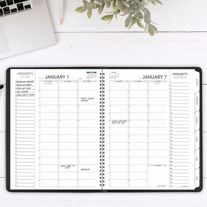 AT-A-GLANCE 2024 Weekly & Monthly Appointment Book & Planner, Quarter-Hourly, 8-1/4" x 11", Large, Triple View, Black (70950V0524) 2024 Old Edition