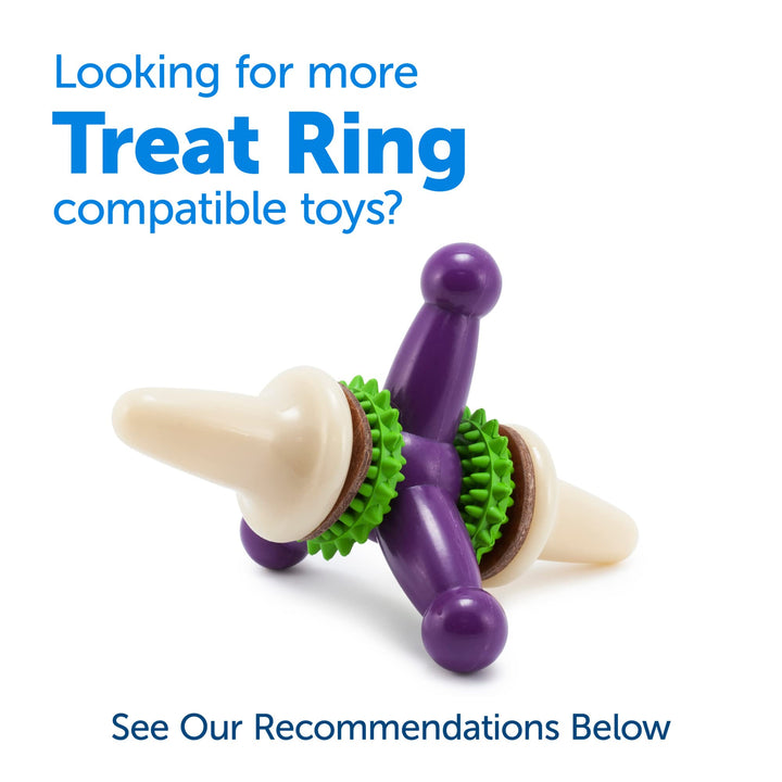 PetSafe Treat Rings for Busy Buddy Dog Toys - Easy to Digest - Interactive Toy Refills for Aggressive Chewers - Stimulating Puppy Supplies - Eases Stress - 24 Rings - Size C - Original/Peanut Butter 0.43 Ounce (Pack of 24)