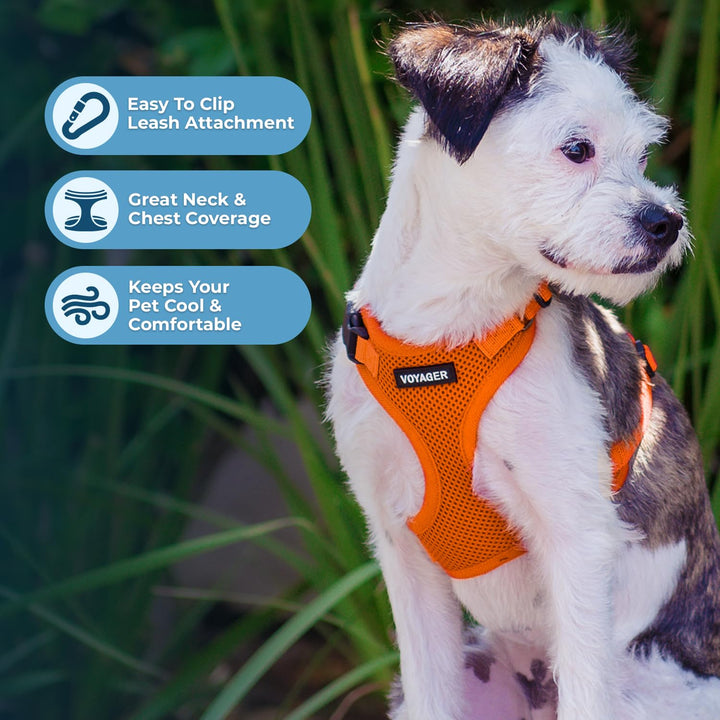 Voyager Step-in Lock Pet Harness - All Weather Mesh, Adjustable Step in Harness for Cats and Dogs by Best Pet Supplies - Orange, XS Harness (Orange) XS (Chest: 13 - 16" * Fit Cats)