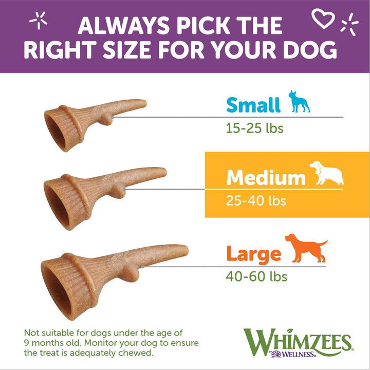 WHIMZEES by Wellness Occupy Antler Natural Dental Chews for Dogs, Long Lasting Treats, Grain-Free, Freshens Breath, Medium Breed, 12 count