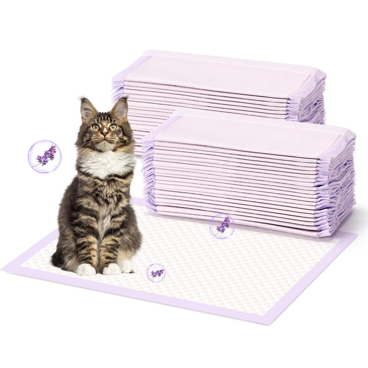 Cat Pads Refills for Litter Box: Cat Litter Mat for Tidy Cats Breeze Litter System - Thickened 6-Layer Super Absorbent Breeze Pads - 16.9" X 11.4" Odor Control - Lemon Scent - Pack of 20 20 Count Scented