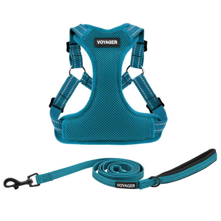 Best Pet Supplies Voyager Adjustable Dog Harness Leash Set with Reflective Stripes for Walking Heavy-Duty Full Body No Pull Vest with Leash D-Ring, Breathable All-Weather - Harness (Turquoise), L Harness Leash Set (Turquoise) L (Chest: 20 - 25")