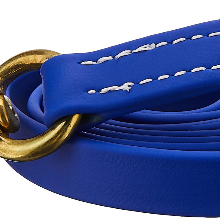 J&J Dog Supplies Biothane Dog Leash, 3/4" Wide by 6' Long, Blue