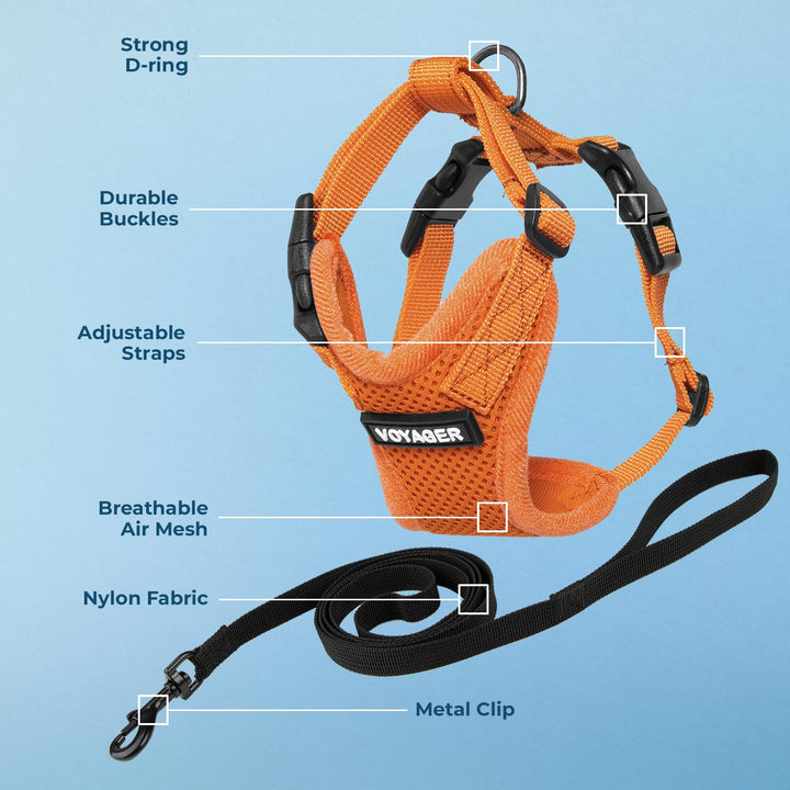 Voyager Step-in Lock Cat Harness w Reflective Cat Leash Combo Set with Neoprene Handle 5ft - Supports Small, Medium and Large Breed Cats by Best Pet Supplies - Orange, XXXS Harness Leash Set (Orange) XXXS (Chest: 10.5 - 13" * Fit Cats)