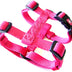 Hamilton Adjustable Comfort Nylon Dog Harness, Raspberry, 1" x 30-40"