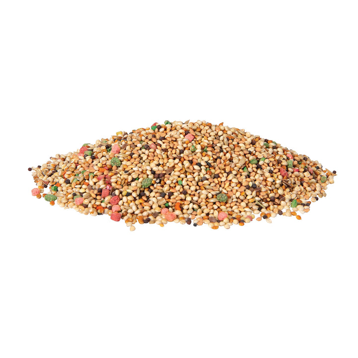 Wild Harvest Daily Blend for Parakeet, Canary, Finch & Small Birds 2lb 2 Pound (Pack of 1)