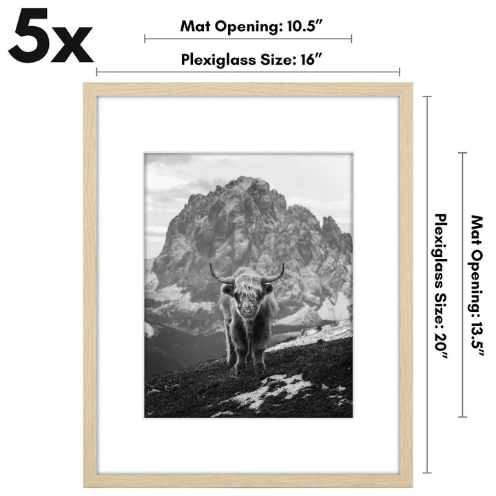 Americanflat 12x16 Picture Frame with Polished Plexiglass - Set of 5 - Use as 8.5x11 Frame with Mat or 12x16 Frame Without Mat - Galleria Collection - Gallery Wall Frame Set for Wall Display - White