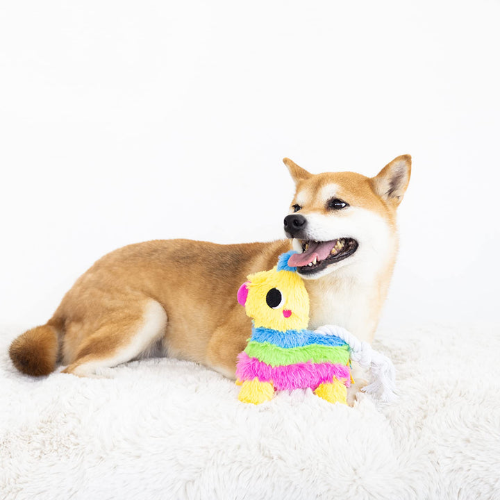 Pearhead Puppy Pinata Dog Toy, Rope Tug Toy for Dogs, Colorful Interactive Dog Toys, Party Pinata Toy for Dogs, Plush Chew Toy, Pet Owner Must Have Toy Pearhead Puppy Pinata Dog Toy