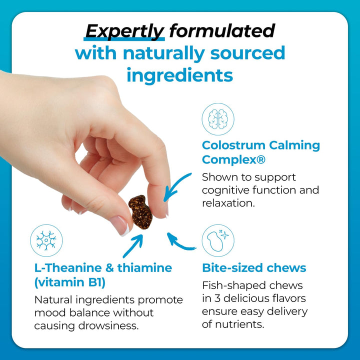 VetriScience Composure Cat Calming Chews Variety Pack - Clinically Supported Cat Anxiety Relief Supplement for Stress, Grooming, Vet Visits, Separation & More - 3 Packs (30 Chews Each) Chicken, Trout, Chicken + Trout 30 Chews (Pack of 3)