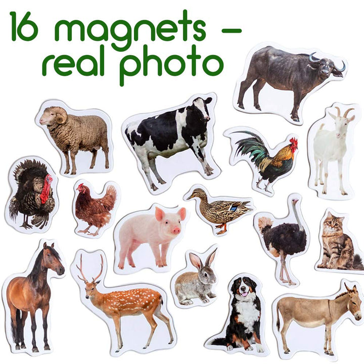 16 Fridge Magnets for Toddlers Magdum - Farm Photo Kids Magnets for Fridge - Toddler Magnets for Refrigerator - Magnetic Animals - Fridge Magnets for Kids - Animal Magnets - Toddler Fridge Magnets