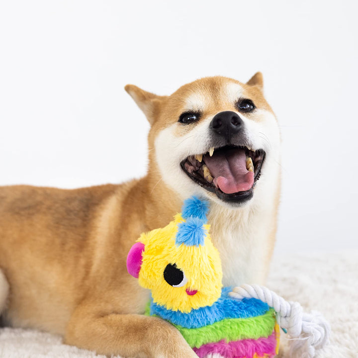 Pearhead Puppy Pinata Dog Toy, Rope Tug Toy for Dogs, Colorful Interactive Dog Toys, Party Pinata Toy for Dogs, Plush Chew Toy, Pet Owner Must Have Toy Pearhead Puppy Pinata Dog Toy