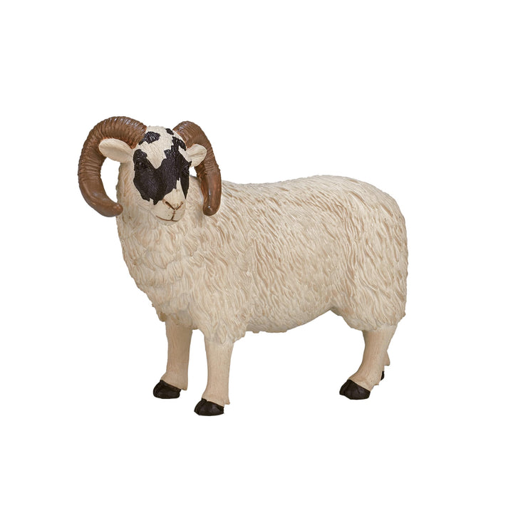 MOJO Black Faced Sheep Ram Realistic Farm Animal Hand Painted Toy Figurine