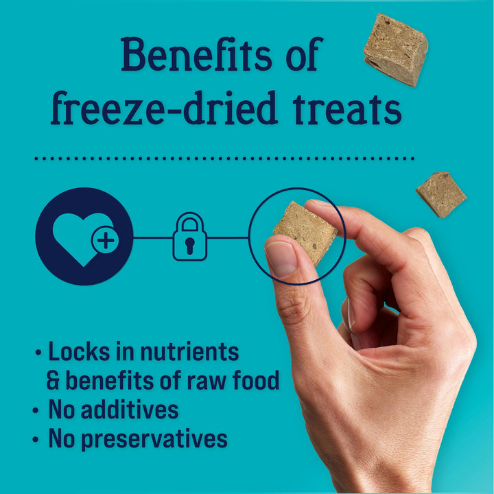 Stewart Freeze Dried Dog Treats, Beef Liver, Grain Free & Gluten Free, 14 Ounce Resealable Tub, Single Ingredient, Made in USA, Dog Training Treats