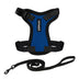 Voyager Step-in Lock Cat Harness w Reflective Cat Leash Combo Set with Neoprene Handle 5ft - Supports Small, Medium and Large Breed Cats by Best Pet Supplies - Royal Blue/Black Trim, XXS Harness Leash Set (Royal Blue/Black Trim)