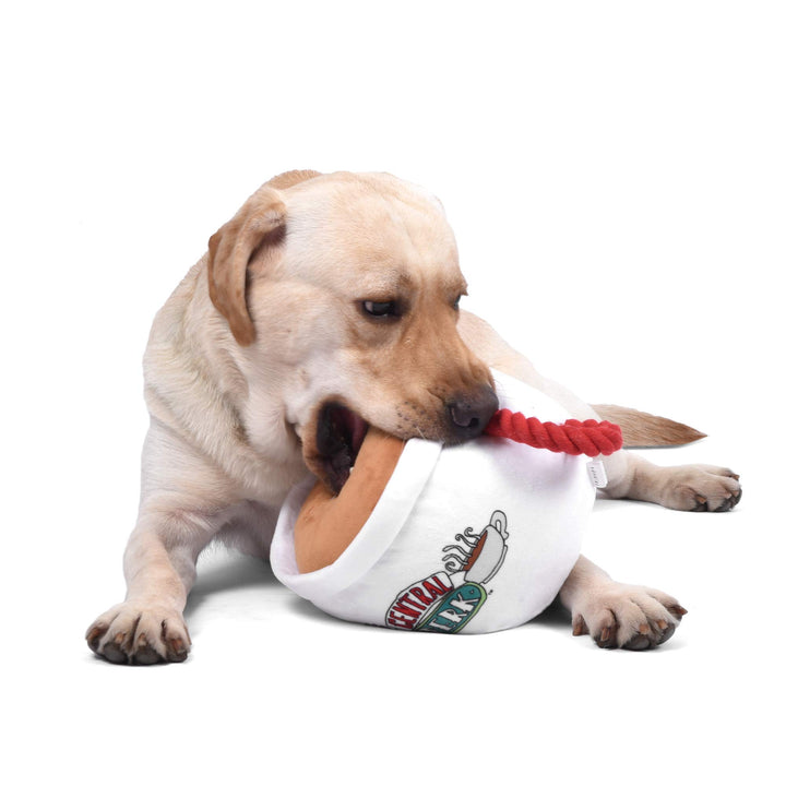 Central Perk Coffee Mug Plush Dog Toy With Rope Handle | 12-Inch Cute Squeaky Toy for All Dogs | Stuffed Dog Toys With Squeaker, Friends Memorabilia Central Perk Coffee Mug 12 Inch