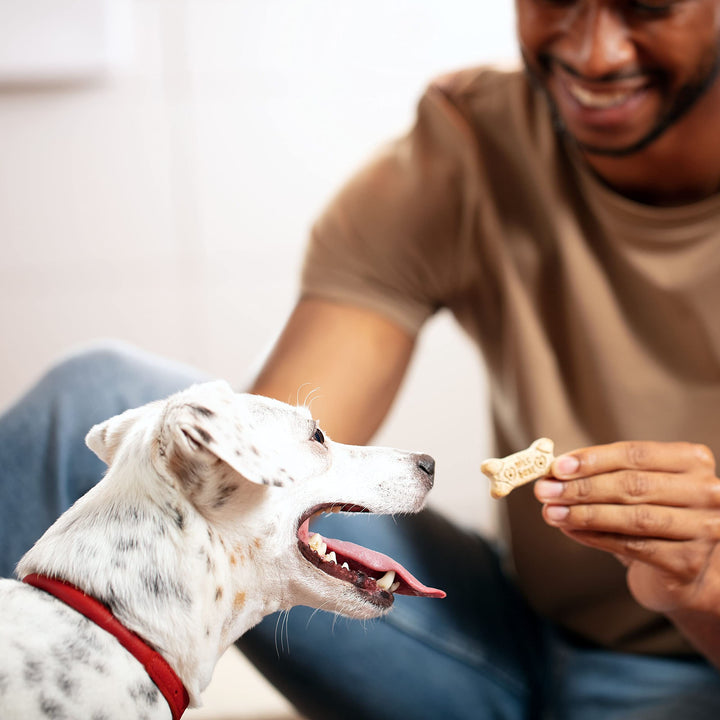 Milk-Bone Original Dog Treats for Medium Dogs, 10 Pound, Crunchy Biscuit Helps Clean Teeth Beef 10 Pound (Pack of 1)