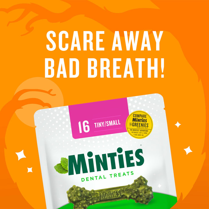 Minties Dental Chews for Dogs, 120 Count, Vet-Recommended Mint-Flavored Dental Treats for Tiny/Small Dogs 5-24 lbs, Dental Bones Clean Teeth, Fight Bad Breath, and Removes Plaque and Tartar Small Mint 48 Ounces