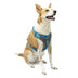 Kurgo K01936 Dog Harness for Large, Medium, & Small Active Dogs, Pet Hiking Harness for Running & Walking, Everyday Harnesses for Pets, Reflective, Journey Air, Blue/Grey 2018, X-Large