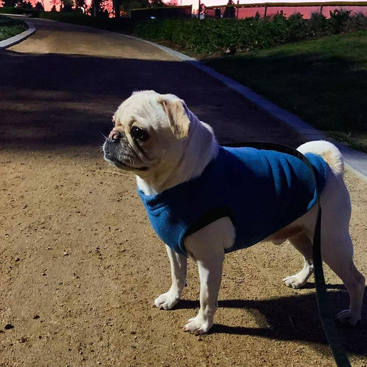 Gooby Stretch Fleece Vest Dog Sweater - Indigo Blue, Medium - Warm Pullover Fleece Dog Jacket - Winter Dog Clothes for Small Dogs Boy - Dog Sweaters for Small Dogs to Dog Sweaters for Large Dogs Medium Length (11.5")