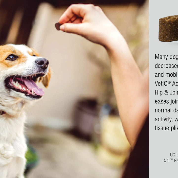 VetIQ Advanced Hip & Joint Chews For Dogs, 60 Count, Chicken Flavored Supplements Made with Glucosamine, Omega 3’s, Chondroitin, MSM, and Green Lipped Mussel, Increases Mobility and Maintains Muscles Advanced Strength 7.4 Ounce (Pack of 1)