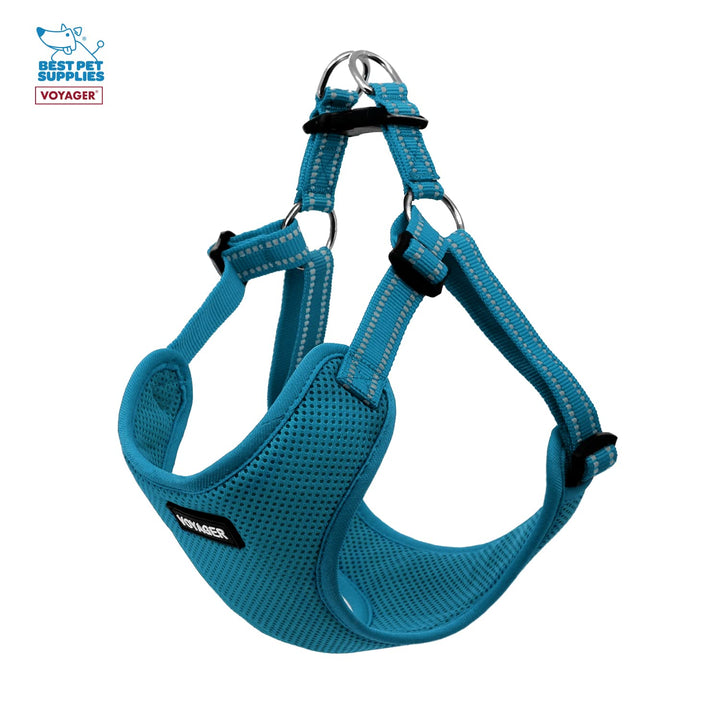 Best Pet Supplies Voyager Adjustable Dog Harness Leash Set with Reflective Stripes for Walking Heavy-Duty Full Body No Pull Vest with Leash D-Ring, Breathable All-Weather - Harness (Turquoise), L Harness Leash Set (Turquoise) L (Chest: 20 - 25")