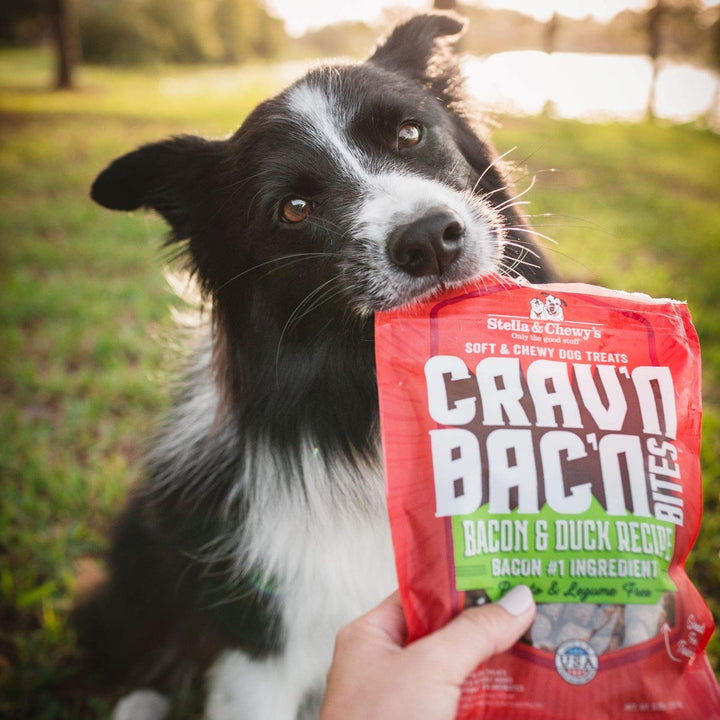 Stella & Chewy's Crav'n Bac'n Dog Treats Bacon & Beef Recipe, 8.25 oz. Bag