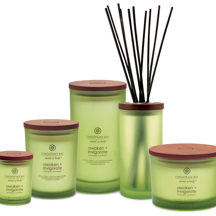 Chesapeake Bay Candle PT40886 Scented Candle, Awaken + Invigorate (Lemongrass Eucalyptus), Medium , Green, Home Décor AWKE/INVGRTE Medium Jar