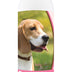 Healthy Breeds Beagle Deodorizing Shampoo 16 oz