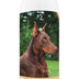 Healthy Breeds Doberman Pinscher Oatmeal Shampoo with Aloe 16 oz