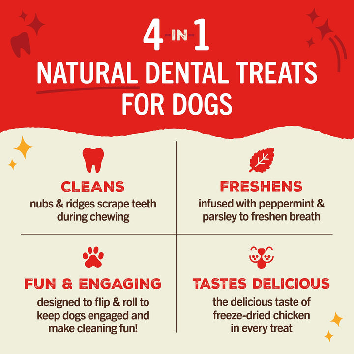 Stella & Chewy's Dental Delights with Freeze-Dried Chicken - Medium Dental Treats for Dogs, Single Serve Chicken (Medium Treat) 0.86 Ounce (Pack of 1)