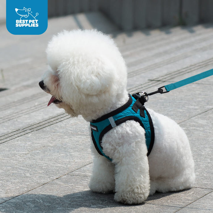 Voyager Step-in Plush Dog Harness – Soft Plush, Step in Vest Harness and Reflective Dog 5 ft Leash Combo with Neoprene Handle for Small and Medium Dogs by Best Pet Supplies -Set (Latte Suede), M Harness Leash Set (Latte Suede) M (Chest: 16 - 18")