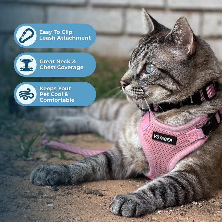 Voyager Step-in Lock Pet Harness - All Weather Mesh, Adjustable Step in Harness for Cats by Best Pet Supplies - Pink, XXXS Harness Leash Set (Pink) XXXS (Chest: 10.5 - 13" * Fit Cats)