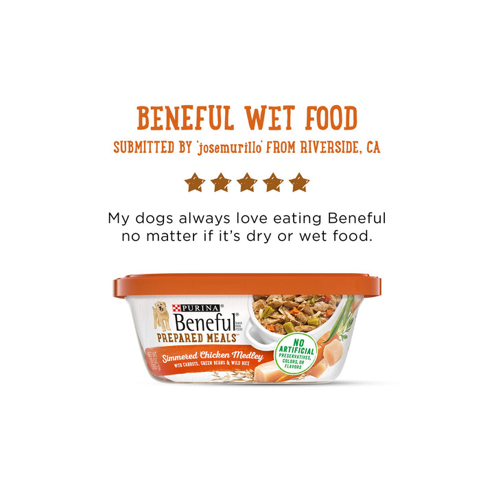 Beneful IncrediBites Grilled Chicken Flavor and Filet Mignon Flavor Wet Food for Small Dogs Variety Pack - 3.5 Ounce (Pack of 12) 3.5 Ounce (Pack of 12)