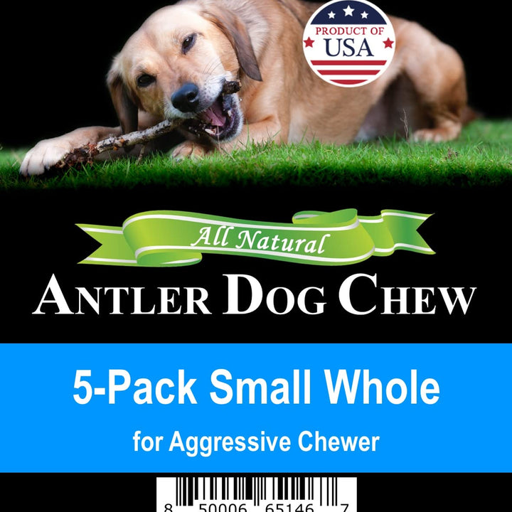 Elk Antler Chews for Dogs | Naturally Shed USA Collected Elk Antlers | All Natural A-Grade Premium Elk Antler Dog Chews | Product of USA, 5-Pack Small Whole 5 Count (Pack of 1)