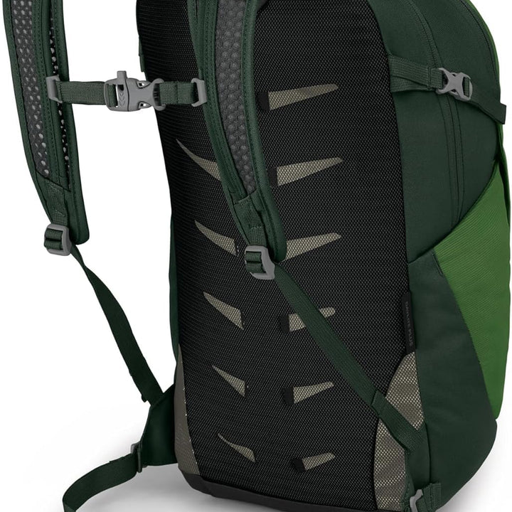 Osprey Daylite Plus Commuter Backpack, Green Belt/Green Canopy