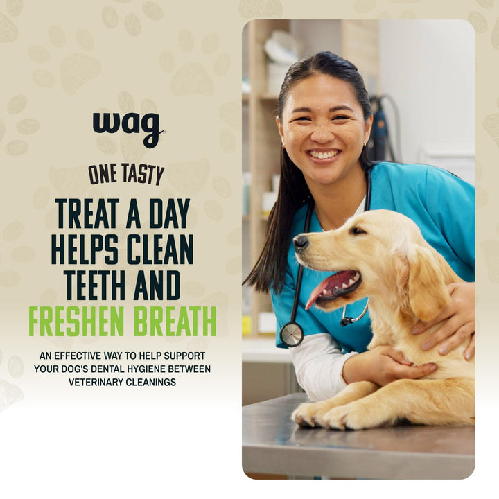 Brand - Wag Dental Chews - Green Dental Brush for Dogs, Large, Unflavored, 24 Count (Pack of 1) 2.25 Pound (Pack of 1) Large Dogs (50 – 100 lb)