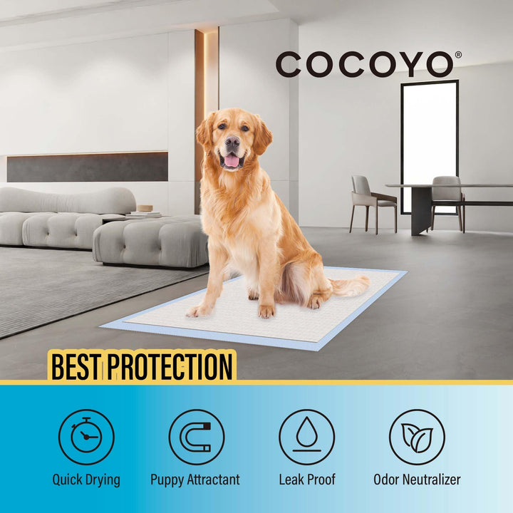 COCOYO Best Value Training Pads, 22"X30" L, 150 Count,White (Packaging May Vary) Large