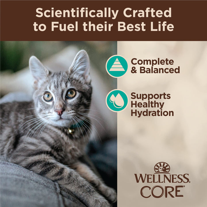 Wellness CORE Tiny Tasters Wet Cat Food, Complete & Balanced Natural Pet Food, Made with Real Meat, 1.75-Ounce Pouch, 12 Pack (Adult Cat, Flaked Tuna & Salmon in Gravy) Adult Cat 1.75 Ounce (Pack of 12)