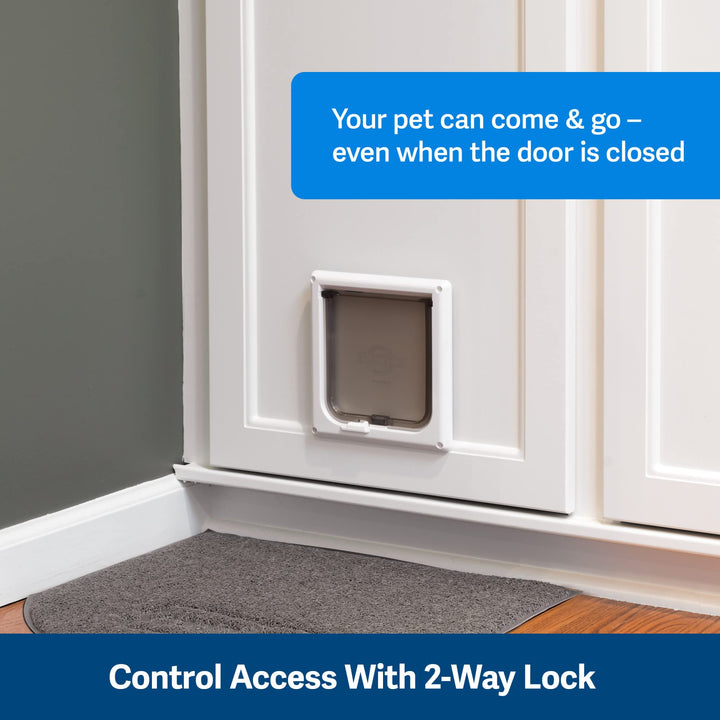 PetSafe Interior Cat Door: 2-Way Locking, Indoor Pet Door Flap - Tinted Privacy Door for Cat Litter Box or Pet Feeder, Built-In Door Lock, Durable Door Frame, DIY Easy Install, Hardware Kit Included, Small, White 2-Way Lock