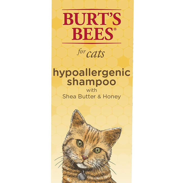 Burt's Bees for Pets Cat Hypoallergenic Shampoo With Shea Butter & Honey | Moisturizing & Nourishing Cat Shampoo | Cruelty, Sulfate & Paraben Free, pH Balanced for Cats - Made in USA, 10 Oz - 2 Pack 10 Fl Oz (Pack of 2)