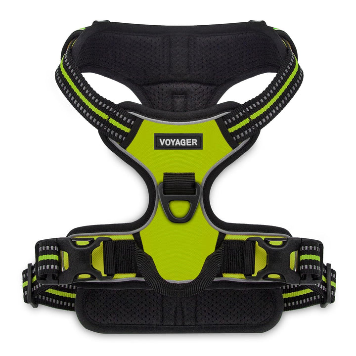 Voyager Dog Harness Dual Leash Attachment No-Pull Control Adjustable Soft but Strong Pet Harness for Medium and Large Dogs with 3M Reflective Technology - Royal Blue Lattice, XS (Chest: 13 - 16")