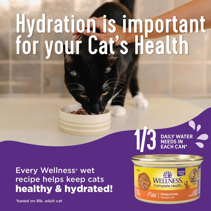 Wellness Complete Health Grain-Free Wet Canned Cat Food, Natural Ingredients, Made with Real Meat, All Breeds, Smooth Pate (Turkey & Salmon, 12.5-Ounce Can, Pack of 12) Turkey 12.5 Ounce (Pack of 12)