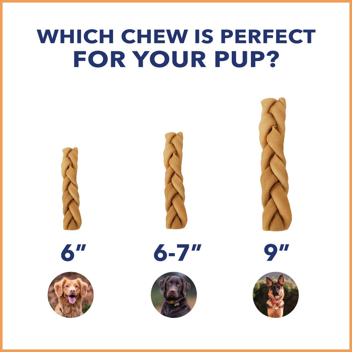 Pet Factory CareChewz Collagen 6-7" Skinny Braided Sticks Dog Chew Treats - Natural Flavor, 15 Count/1 Pack Skinny Braid Sticks 15 Count (Pack of 1)