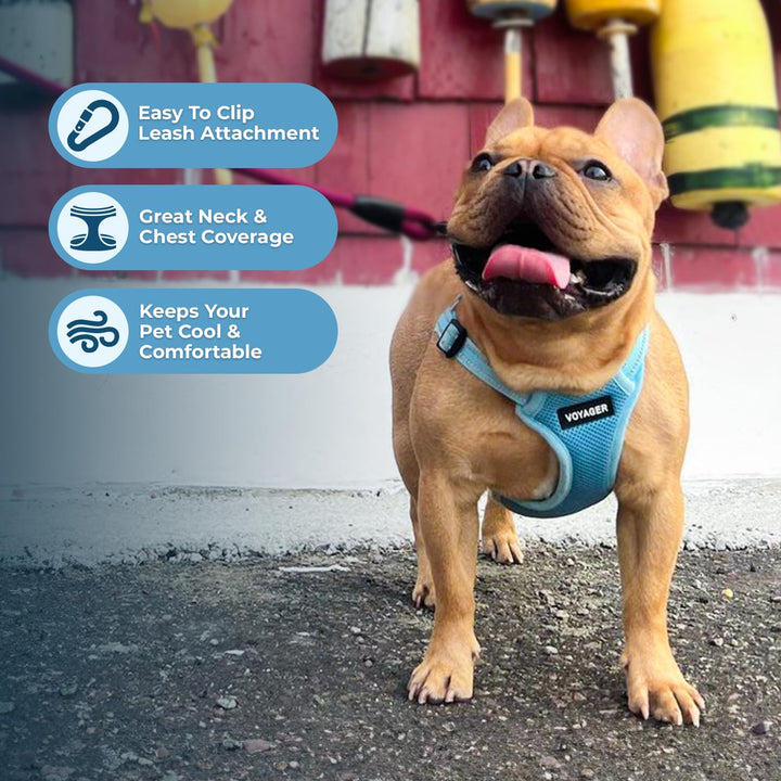 Best Pet Supplies Voyager Adjustable Dog Harness with Reflective Stripes for Walking, Jogging, Heavy-Duty Full Body No Pull Vest with Leash D-Ring, Breathable All-Weather - Harness (Baby Blue), S Harness (Baby Blue) S (Chest: 15 - 18")