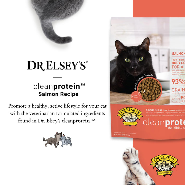 Dr. Elsey's Cleanprotein Salmon Formula Dry Cat Food, 6.6 Lb 6.6 Pound (Pack of 1)