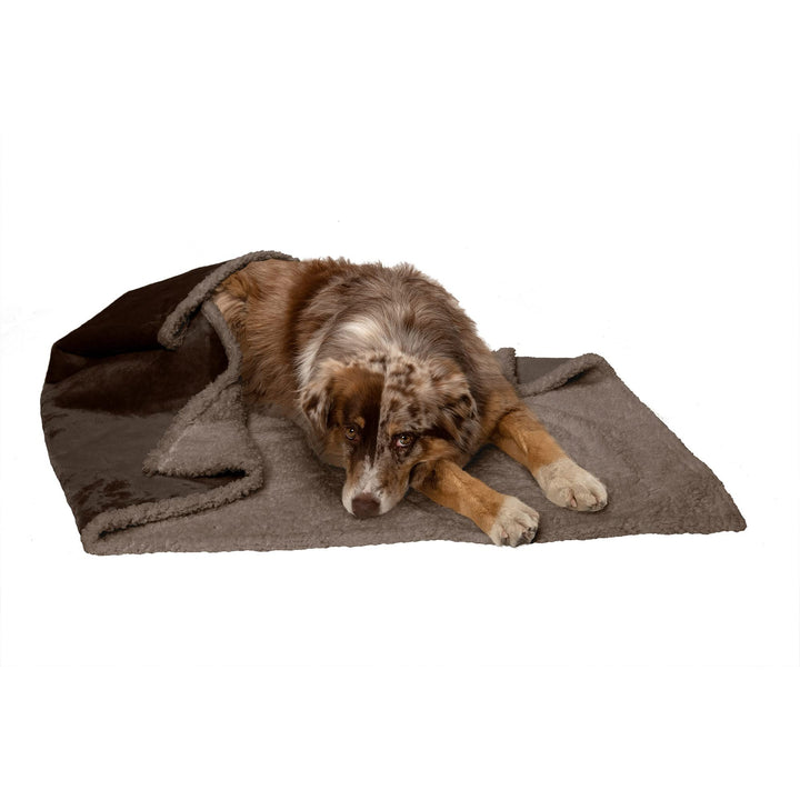 Furhaven Waterproof & Self-Warming Throw Blanket for Dogs & Indoor Cats, Washable & Reflects Body Heat - Soft-Edged Terry & Sherpa Dog Blanket - Espresso, Large