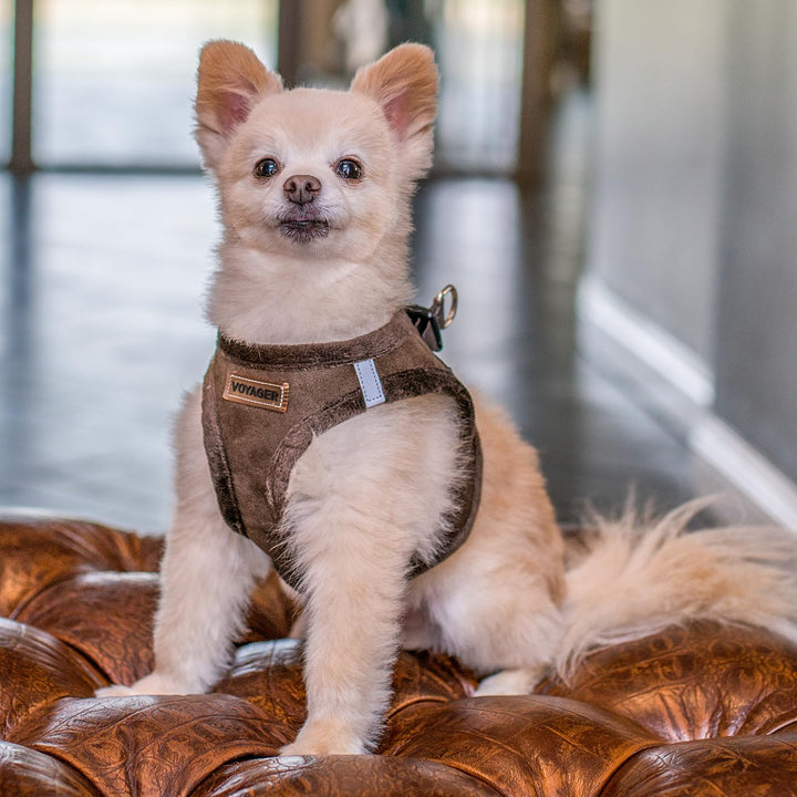 Voyager Step-In Plush Dog Harness – Soft Plush, Step In Vest Harness for Small and Medium Dogs by Best Pet Supplies - Harness (Chocolate Suede), L (Chest: 18 - 20.5") Harness (Chocolate Suede) L (Chest: 18 - 20.5")