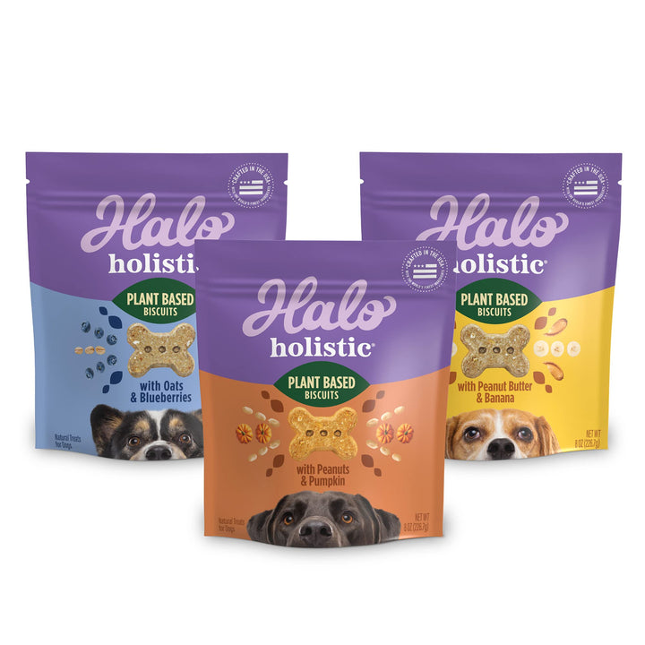 Halo Plant-Based Dog Treats with Peanuts & Pumpkin, Vegan Dog Treat Pouch, 8 oz bag Peanut n’ Pumpkin 8 Ounce (Pack of 1)